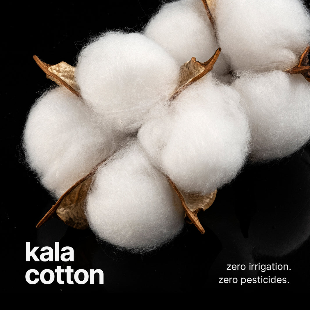 Reviving Tradition: The Sustainable Story of Kala Cotton